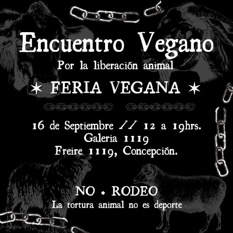 encuentrovegano.ccp_367529098_217118884664570_7555971395065196092_n