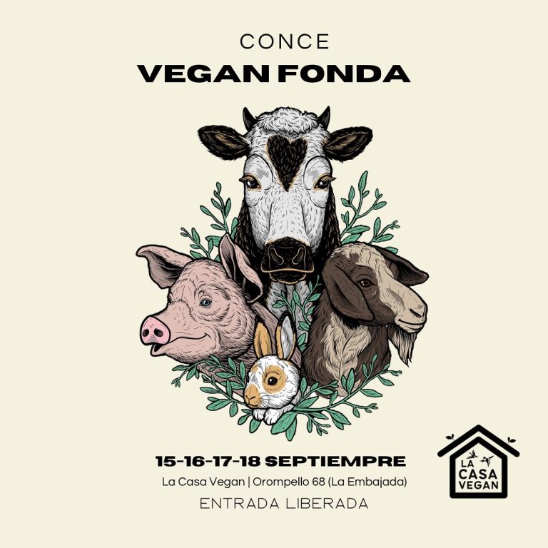 lacasavegan.ccp_370563372_17931599903737793_7437222963088547894_n